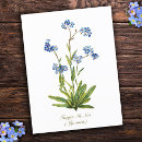 Suche nach vergissmeinnichte postkarten Elegant
