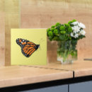 Suche nach retten sie uns fliesen Natur