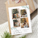 Recherche de botanical cartes postales Calligraphie