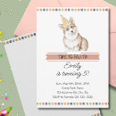 Recherche de corgi invitations Chiot
