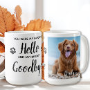 Recherche de sympathie de chat tasses Dans la mémoire d'amour