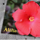Recherche de hawaï cartes postales Aloha