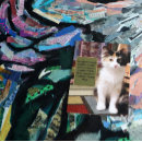 Recherche de suis désolé cartes postales Chat