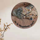 Recherche de yorkshire horloges Chiot