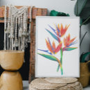 Recherche de oiseaux paradis posters Coloré