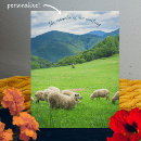 Recherche de moutons blancs cartes postales Mouton blanc