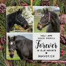 Recherche de horse memorial Sympathie