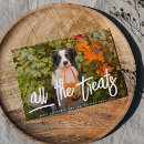 Recherche de animals cartes halloween Pour animaux