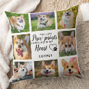 Recherche de photo pet coussins Pont arc en ciel