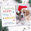 Recherche de dog lovers christmas vœux cartes Pour tous