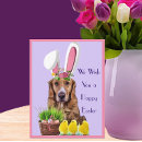 Recherche de pâques drôle cartes postales Poussins