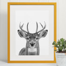Recherche de woodland animals posters Boisé