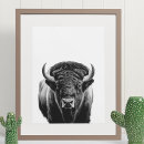 Suche nach bison poster Wald
