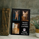 Recherche de mémorial chat posters Mémorial des animaux