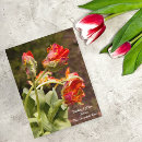 Recherche de perroquets cartes postales Tulipes