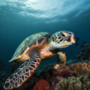 Suche nach korallenriff puzzle Meeresleben