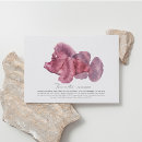 Recherche de scorpions cartes postales Pour tous