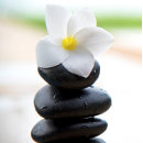Suche nach flower schlüsselanhänger Meditation