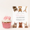 Recherche de de hibou fille anniversaire invitations Fête d'anniversaire