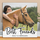 Recherche de cheval plaques Équestre