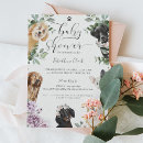 Recherche de portraits de chien invitations Chiot