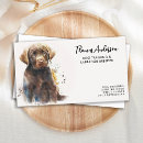 Recherche de labrador cartes visite Animal de compagnie