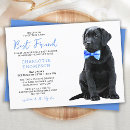 Recherche de labrador retriever invitations Chiot