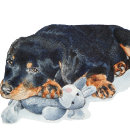 Recherche de chiens de rottweiler Pour animaux