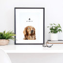 Recherche de extractie posters Dogs