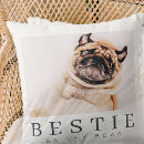 Recherche de pets s coussins Dog