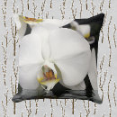 Suche nach auftauchen Orchideen