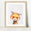 Recherche de panda roux Animaux