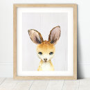 Suche nach känguru baby poster Tiere