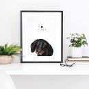 Suche nach schwarzer hund poster Für haustiere