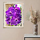 Recherche de orchidée tropicale posters Jardin