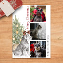 Suche nach zwergschnauzer karten Weihnachtskarte