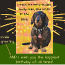 Recherche de chien blanc vœux cartes Chien de saucisse