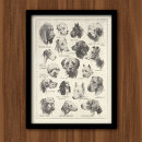Suche nach vintage zeichnungen poster Hunde