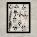 Recherche de colonne vertebrale art Chiropraticien