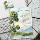 Recherche de arbre feuillage persistant invitations Pour eux