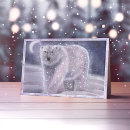 Suche nach eisbären karten Niedlich