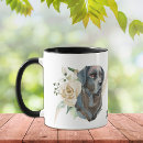 Recherche de labrie Chien