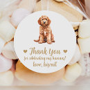 Recherche de goldendoodle autocollants Doré