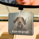 Recherche de cute voiture accessoires Animal