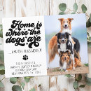 Suche nach retro hunde einladungen Foto