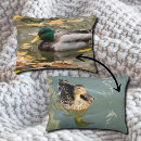 Recherche de canards coussins Canard colvert