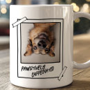 Suche nach pawsitive tassen Haustier