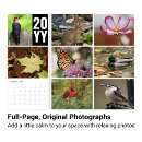 Recherche de ann photographie Simple