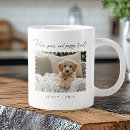 Recherche de chiots tasses Pour tous