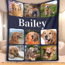 Recherche de pet photo Birthday